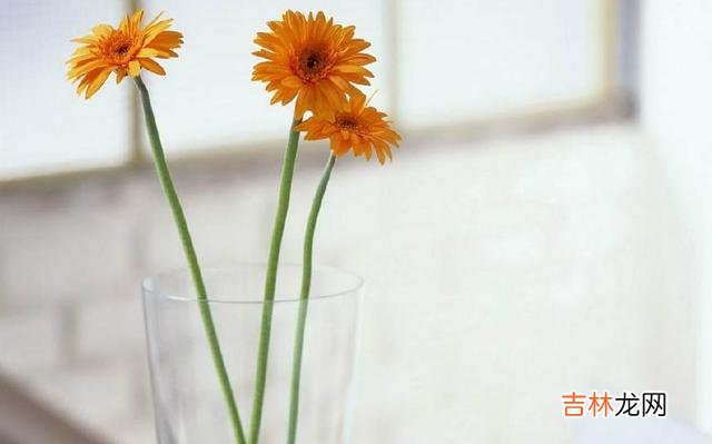 1.有些事情我们必须放弃 简单生活才能幸福生活，人要知足常乐，宽容大度