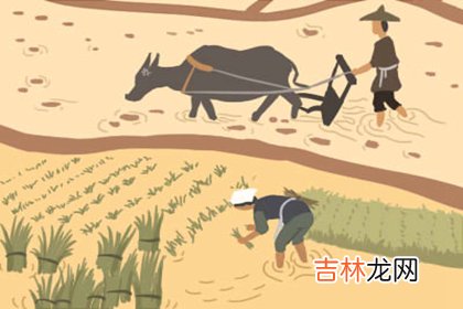 容易被骗的八字什麽特点
