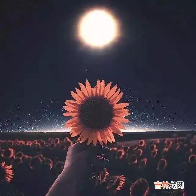 时间 感谢时间，让我明白，做人要知恩图报，待人要真诚友好