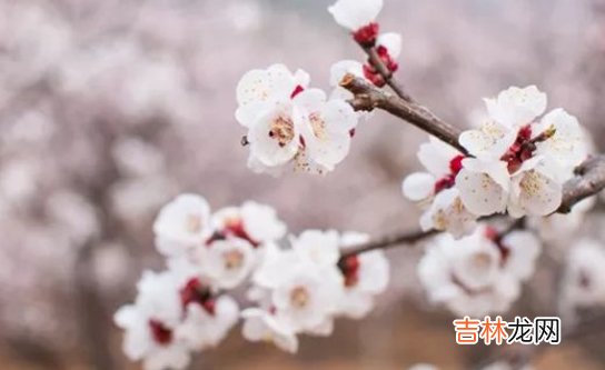 2020年12月27号十一月十三出生的孩子生辰八字和性格命运解析
