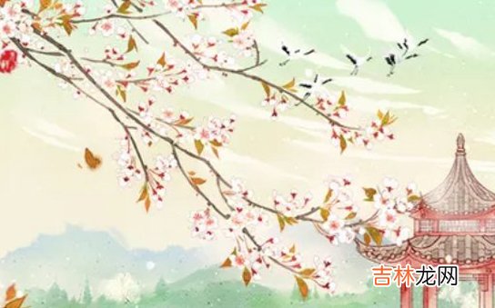 2020年农历十一月出生的宝宝是什么命，事业顺风顺水，富贵一生