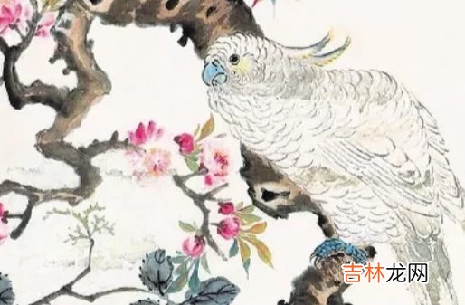 1966年出生的人是什么命,性格热烈,受人喜爱