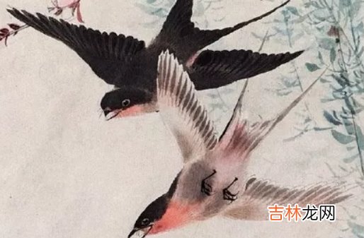 1966年出生的人是什么命,性格热烈,受人喜爱