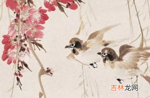1969年出生的人是什么命,精明能干,事业有成