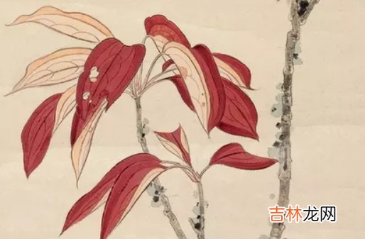 1969年出生的人是什么命,精明能干,事业有成