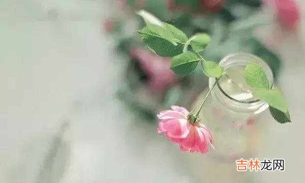 生活中 生活的最高境界：  忘掉过去，满意自己的现在