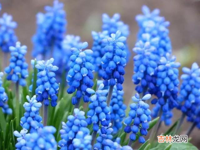 一个人在不在乎你 别让一颗真心变凉，别让爱你的人失望
