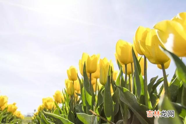 一个人在不在乎你 别让一颗真心变凉，别让爱你的人失望