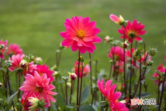 一个人在不在乎你 别让一颗真心变凉，别让爱你的人失望
