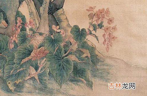 1980年出生的人是什么命,聪明绝顶,财运旺盛