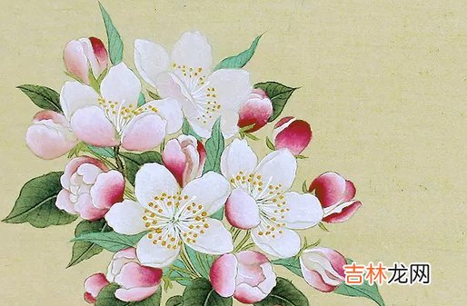 1988出生的人是什么命，能力极强，事业成功