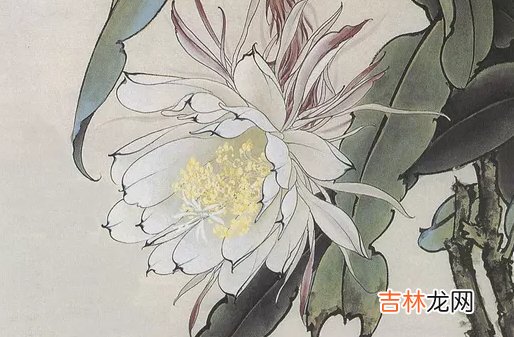 1992年出生的人是什么命，桃花旺盛，运势极佳