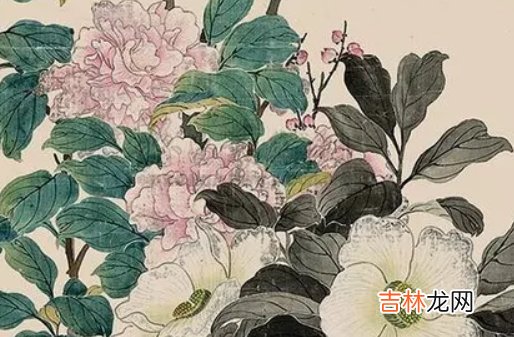 2002年出生的人是什么命,事业平稳,幸福安详