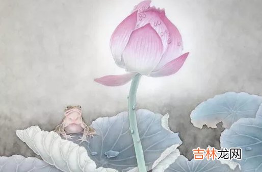 2017年出生的人是什么命,多情重恩,事业有成
