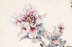 2010年出生的人是什么命，工作认真，事业有成