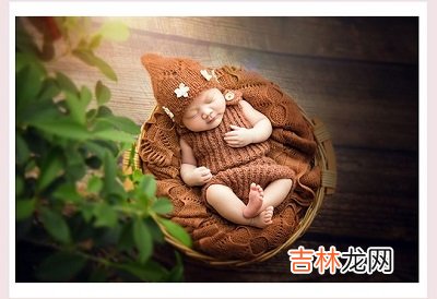 2020庚子年农历十一月初三日适不适合求嗣?