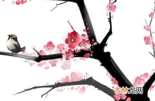 1965年出生的人属什么生肖，五行八字查询