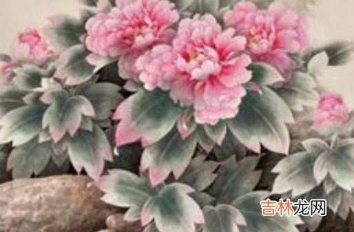 1965年出生的人属什么生肖，五行八字查询