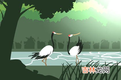 八字看懦弱的男人什麽特徵