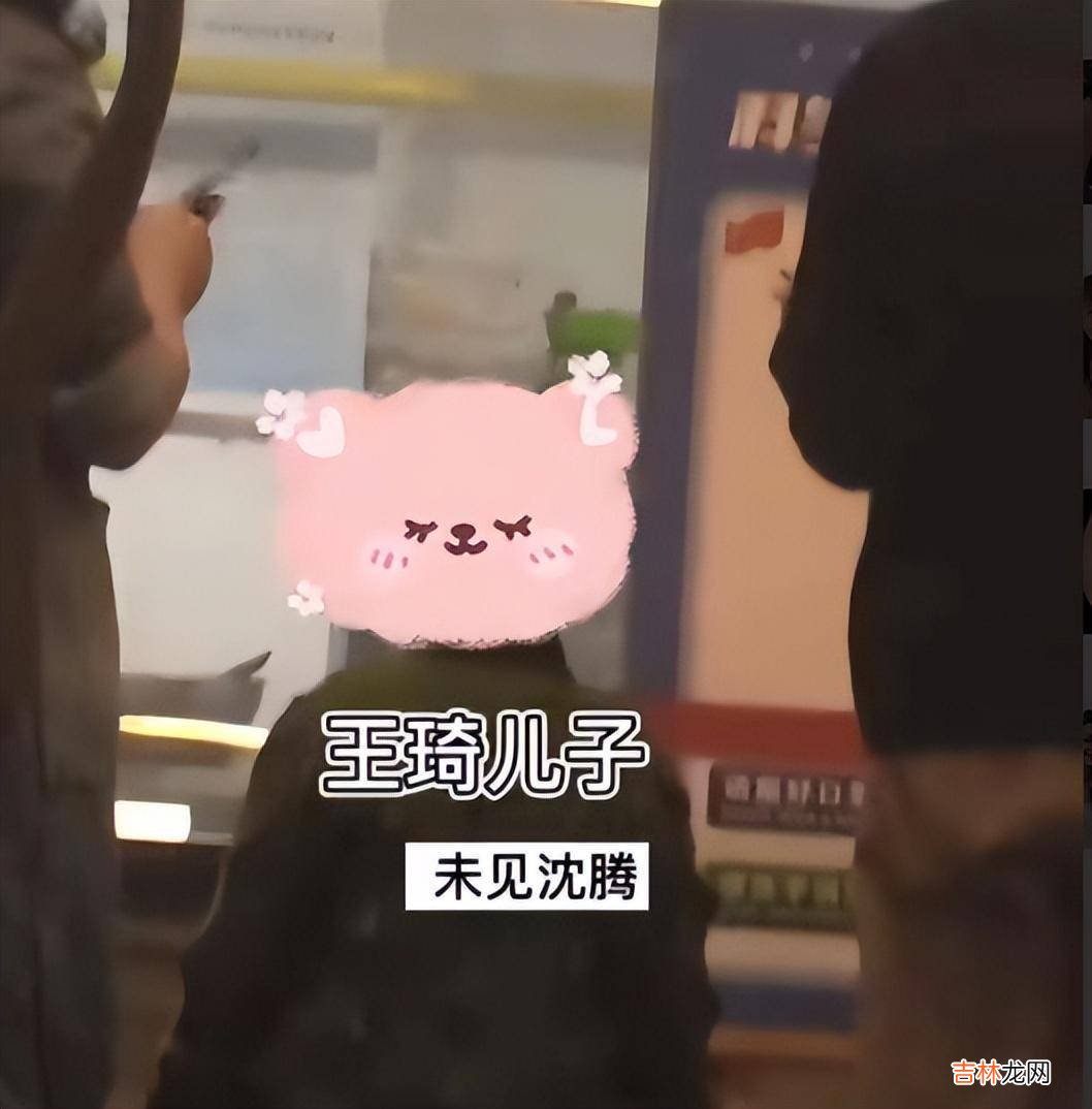 网传沈腾已与老婆分居，女方被拍独自带娃，身材变样认不出