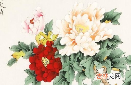 2020鼠年农历六月初九出生好不好,这天日子好吗