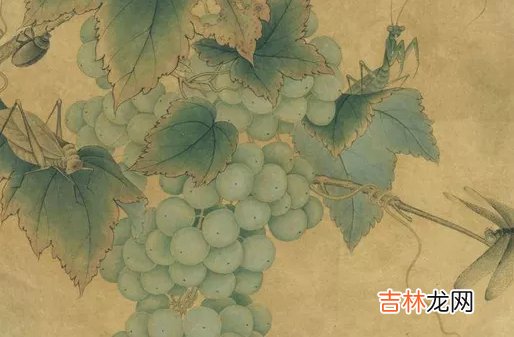 2007年出生的人属什么生肖，五行八字查询