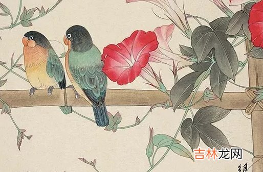 2019年出生的人属什么生肖，五行八字查询