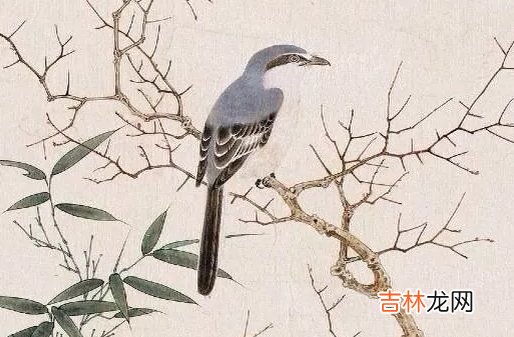 2020年农历六月十一出生好不好,这天是什么日子