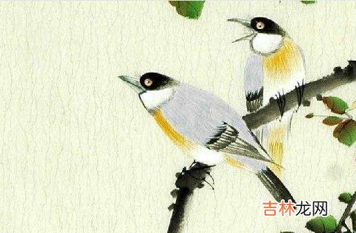 2020年农历六月十七出生好不好,这天是什么星座