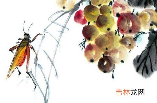 2020年农历六月十七出生好不好,这天是什么星座