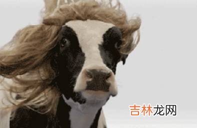 搞笑段子：我和女友逛了整整一天，最后回到了第一家金店！