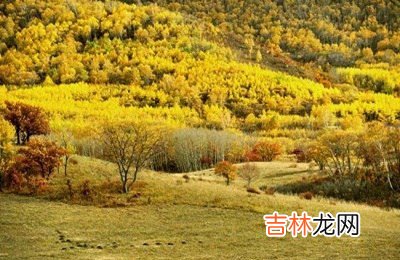 农历九月桃花命吗？农历九月生人命好不好？