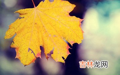 农历九月桃花命吗？农历九月生人命好不好？