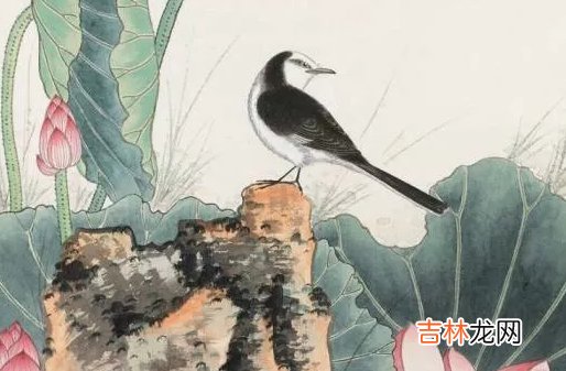 2020鼠年农历九月十六出生好不好,这天日子好吗