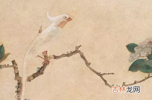2020年农历九月十八出生好不好,这天是什么星座