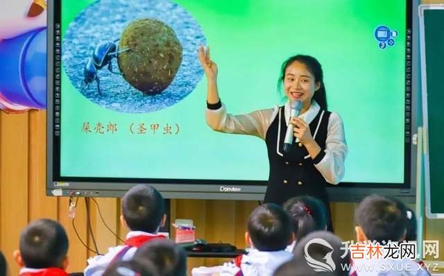 成都东部新区小学语文课外整本书阅读教学优质课展评在三岔湖小学举行