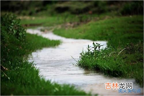 几场春雨过后 几场春雨过后，缕缕暖风拂面，春天来了