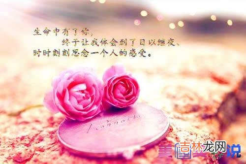 丢失了夏日热情的阳光 爱情无非是一朵花开的过程，爱情本就是一朵花开的过程！