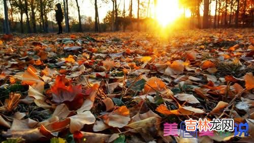 习惯了这样的早晨 时间给予了我生命,光阴给了我梦想,在浩瀚的梦的海洋里潜行