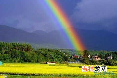 “芒种忙 彩虹，是我思念家乡的桥