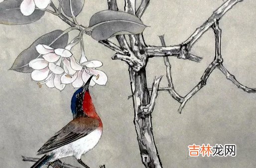 2020年农历冬月十一月初十出生好不好,这天是什么日子