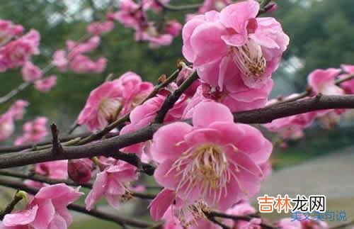拥有青春，就是蕴含着希望，抓住青春，就会呈现不可替代的辉煌