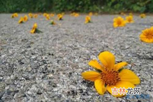 青春如同流沙般从指缝溜走，过去的倔强、不羁