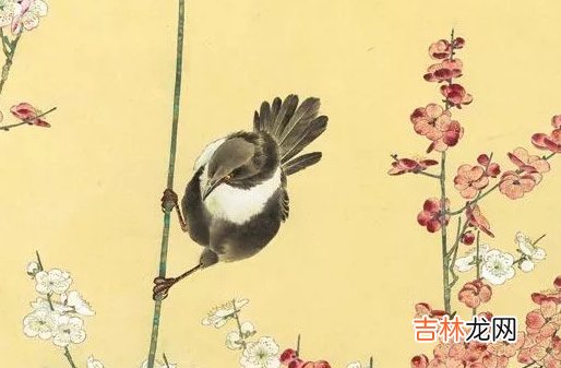 2020年农历冬月十一月十九出生好不好,这天是什么星座