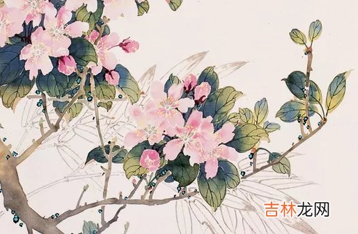 2020年阴历腊月十二月十九出生好吗,这天日子怎么样