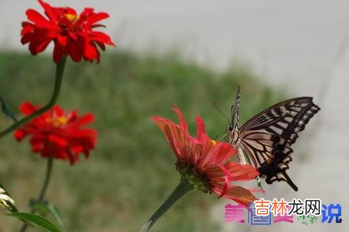 世界是如此之大 你的心明亮;你的心如窗，就看见了世界;你的心如镜就观照了自我