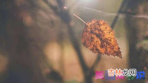 碧云天 浅相遇，深相思，终难忘