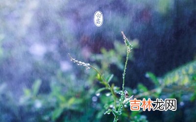 白露是第几个节气？出生在白露节气的属兔人命运如何？