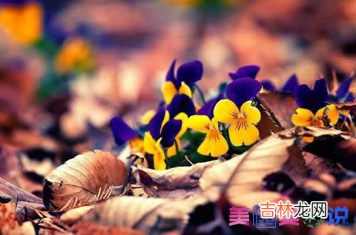 每个人的人生都有自己的故事 每个人的人生都有自己的故事，其中滋味只能自己慢慢体会