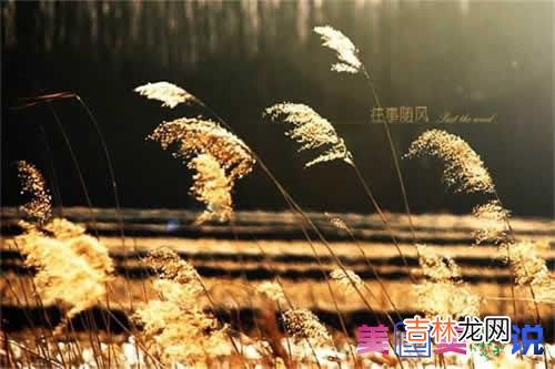 每个人的人生都有自己的故事 每个人的人生都有自己的故事，其中滋味只能自己慢慢体会